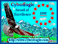 CyberEagle’s Award of Excellence